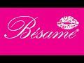 Besame Women Thong Lace Panties With Stripes Spandex Underwear Lingerie 5 Pack
