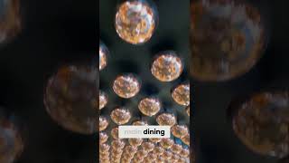 The Most Luxurious Cruise Steakhouse? Virgin Voyages’ Wake Dining Experience! 🚢✨