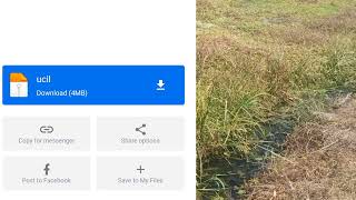 Download lagu Viral TikTok Bocah Kayak Kenal Dimana ya ? mp3 Download lagu Viral TikTok Bocah Kayak Kenal Dimana ya ? mp3