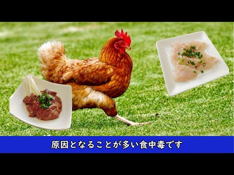 食中毒啓発ファイル　Ｆｉｌｅ2 カンピロバクター食中毒