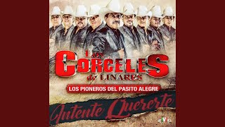 El Nies Music Video