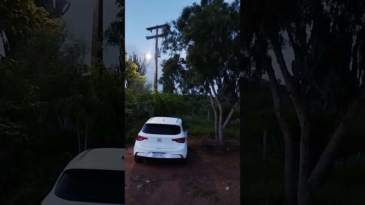 quando chega a noite no sertão #sertão #viralvideo #viralvideo #toada