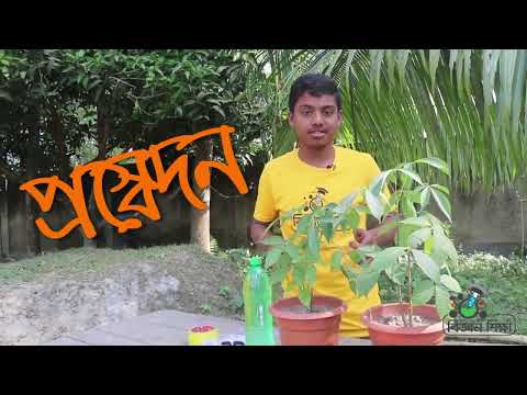 Transpiration process in plants