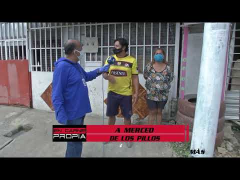 EN CARNE PROPIA 2020 - PROGRAMA JUNIO 27 - BLOQUE 2