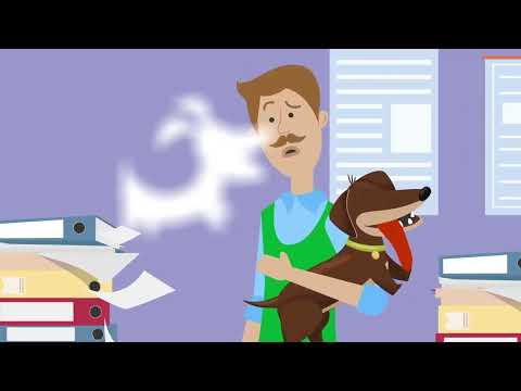 Ветменеджер