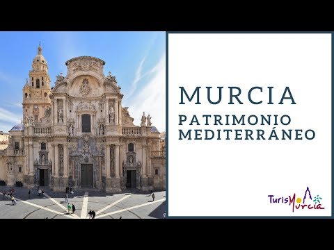 Haz clic para reproducir el video