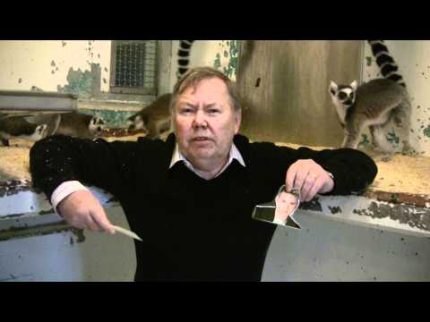 Bert Karlsson vs Skansens lemurer