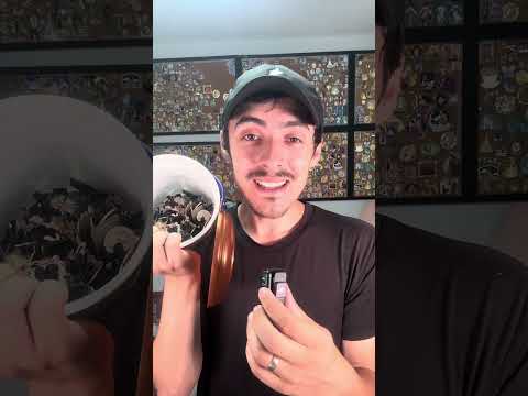 Starting A FAKE Disney Pin Collection