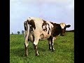 Pink Floyd Members and the Critics - Atom Heart Mother