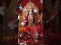 Mata Rani Bhajan Status जय दुर्गा माँ Maa Durga Blessing Status