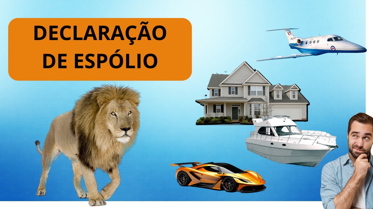 DECLARAÇÃO FINAL DE ESPÓLIO