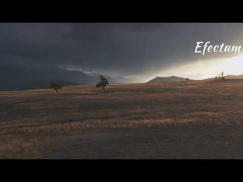 #nature #sky #sun #summer #beach #sunset #sunrise #flowers #tree #twilight #clouds #beauty  #weather