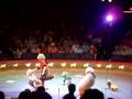 BIG APPLE CIRCUS