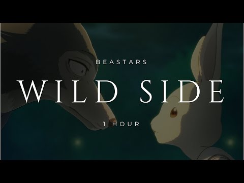 Beastars OP - Wild Side / 1 hour ("it is a wonderful life..." part only) / T H E L O O P !
