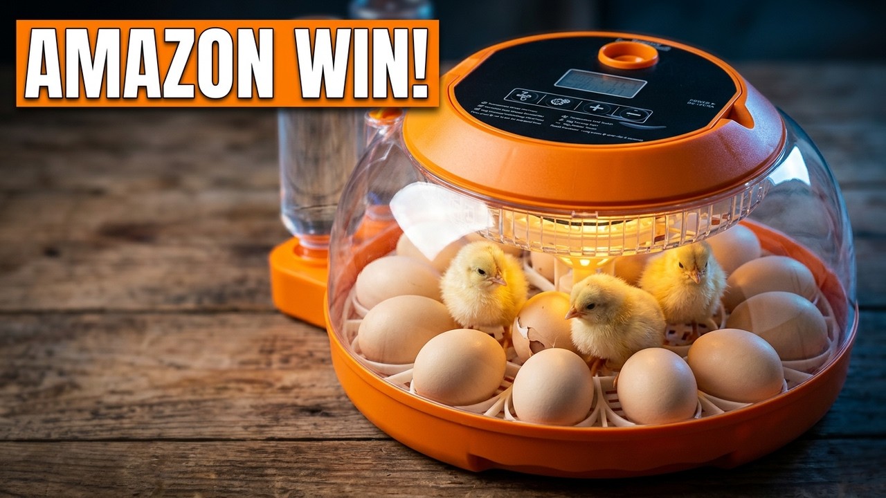 I Bought the Cheapest Smart Incubator on Amazon