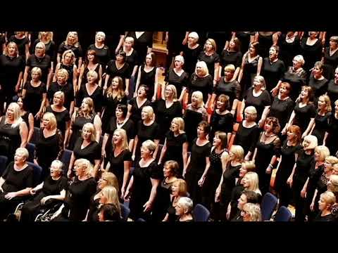 Got 2 Sing - You're The Voice 2017