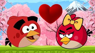 Angry Bird Seek Wife Levels 1-23 Gameplay 2015