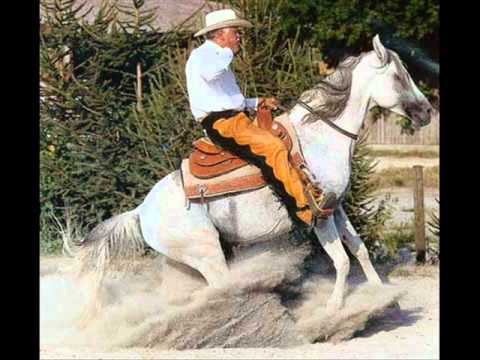 Moraf (Morhaf x Afrah Albadeia)