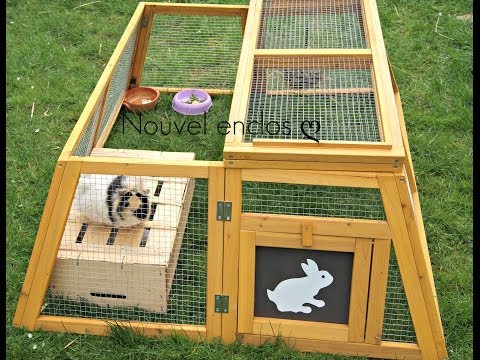 Comment construire une cage à lapin extérieur ?
