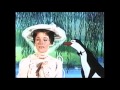 What If Disney Was Even More Commercial The Parent Trap 1994 VHS Opening