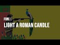 fun. - Light A Roman Candle With Me [Lyrics]