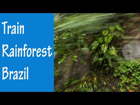 Serra Verde Express: Train ride from Curitiba to Morretes, Brazil