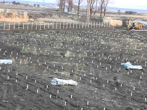 Stancuta V centru 5.mar.2013