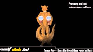 Tarrus Riley - Bless Me (Drum&amp;Bass remix by Mojo)