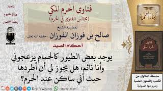 صورة ما حكم طرد الطيور إن كان مزعجا؟   للشيخ صالح الفوزان