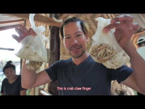 Mango Tree - Chef Trip 2019 - VF Franchise Consulting