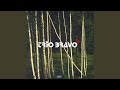 Rondo Ukraine