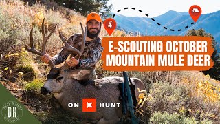 E-Scouting October Mountain Mule Deer