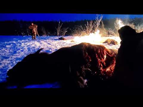 The Revenant- Bison Liver Scene