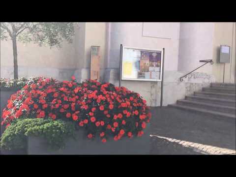 Trentino Italy Slow Life | Happiness is Having a Lovely Walk in Mezzolombardo | Moving Forward