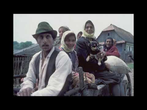 Muzica de ascultare - Dusmanii iti vor moartea