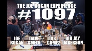 Joe Rogan Experience #1097 - Legion of Skanks