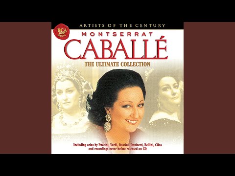 Il Trovatore: Timor di me?... D'amor sull'ali rosee