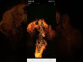 Swami A Saranam Ayyappa Saranam Ayyappa