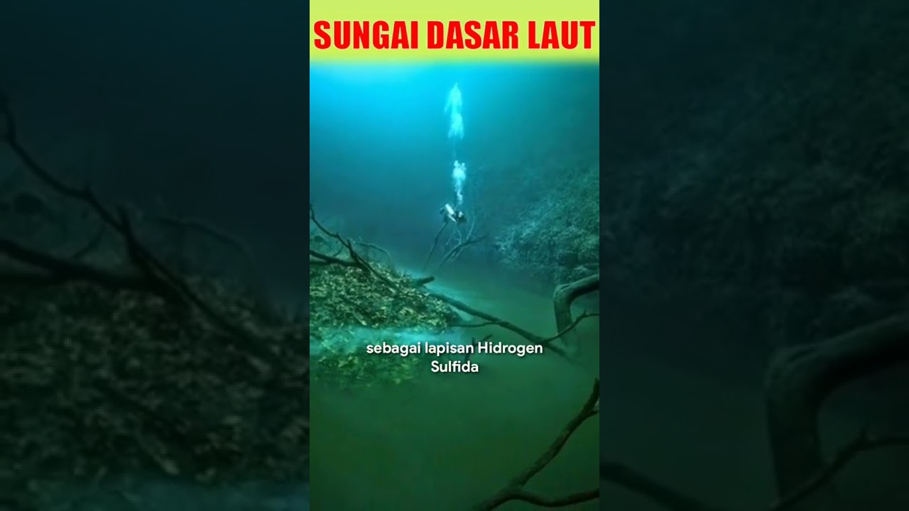 Al Qur'an Dan Sains | Fenomena Sungai Di Bawah Laut