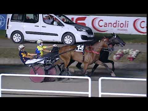 Napoli Trotto 28/07/2023 - 5ª corsa
