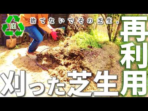 おとうちゃんのお庭様【芝生のお庭を楽しむ】