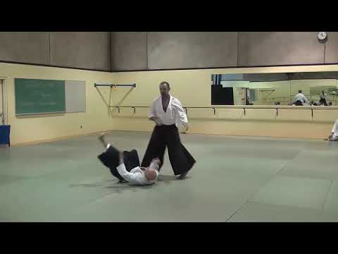 Aikido Demonstration, 2016