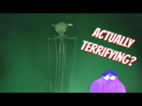Just How Scary is the Deep-Sea Magnapinna Squid? | Alien Ocean
