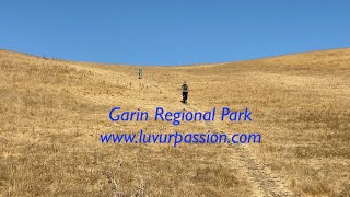 Garin Regional Park Hayward | Hiking East Bay Area | California Travel Vlog