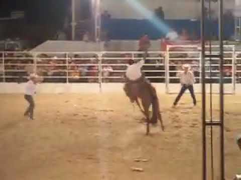 Cavalo Brasileiro Cia. Galego e Edvaldo Antonio Filho (Rodeio de Nova Independência)