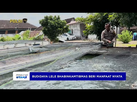 BHABINKAMTIBMAS POLRES BOYOLALI PANEN LELE DUKUNG KETAHANAN PANGAN