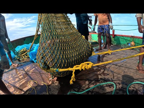 Amazing Automatic Longline Fishing Net Catch Giant Fish | @FISH_TV