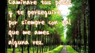 bronco como una guella digital