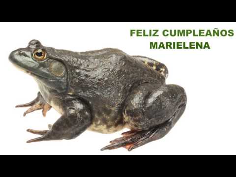 Marielena   Animals & Animales - Happy Birthday