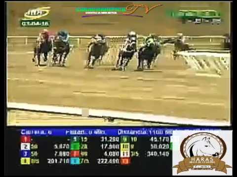 LA RINCONADA 6 CARRERA, DOMINGO 03 DE ABRIL DEL 2016